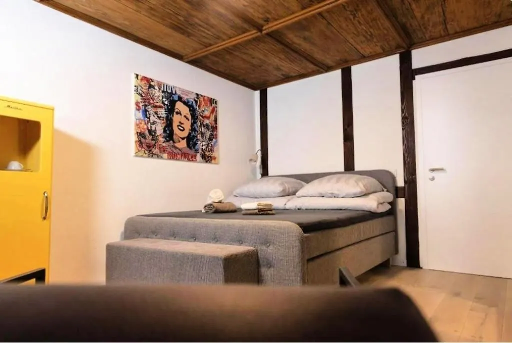 Rheinstream Guesthouse Βασιλεία