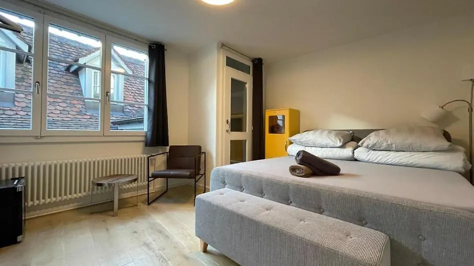 Rheinstream Guesthouse Βασιλεία Πανσιόν