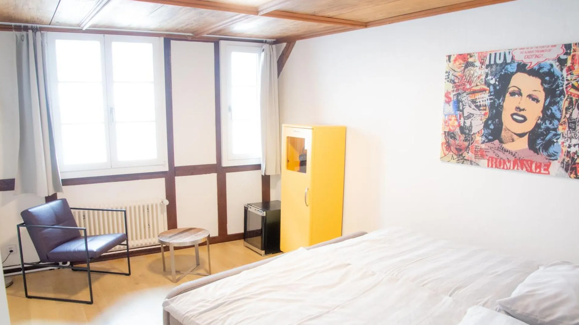 Rheinstream Guesthouse Basel 0*,  Schweiz