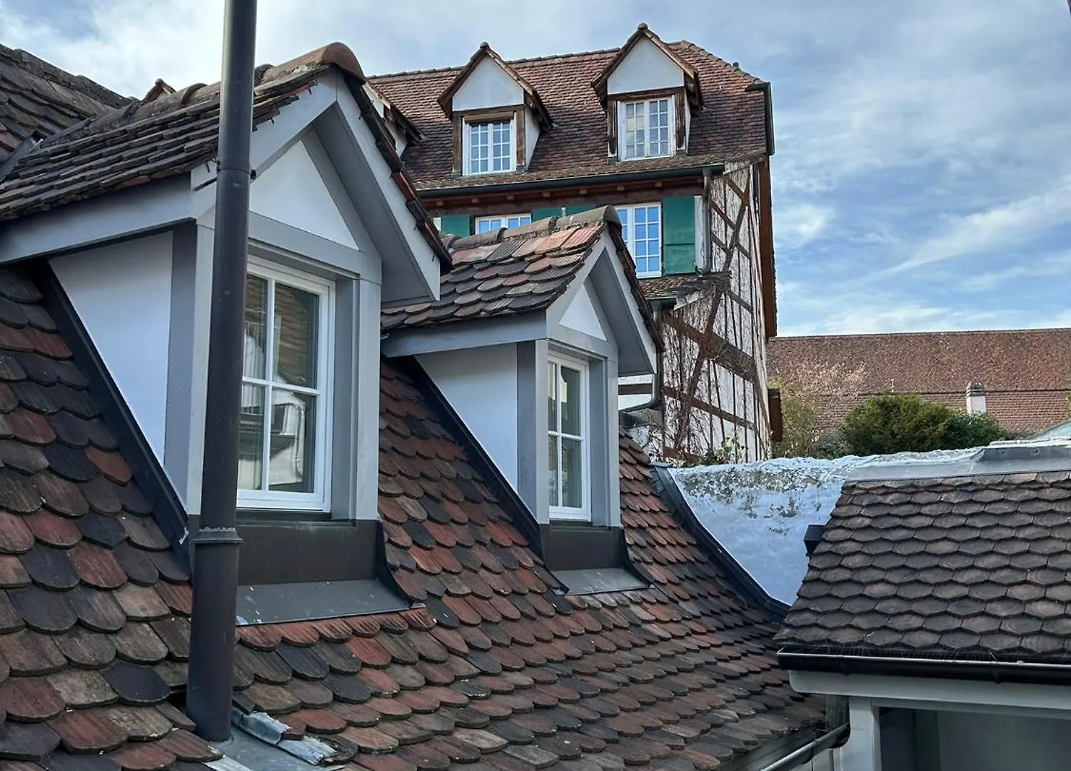 Rheinstream Guesthouse Bâle