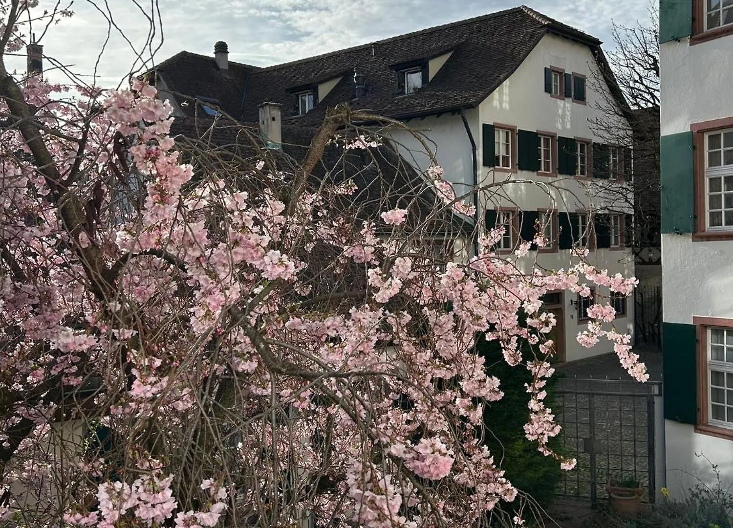 Rheinstream Guesthouse Bâle 0*,  Suisse